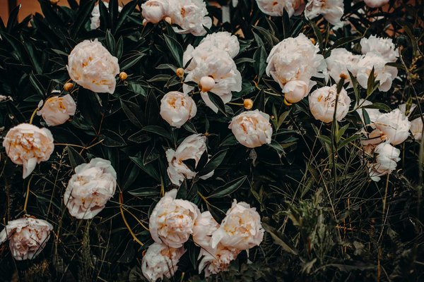 Services de commande et livraison de fioul à Marignane et Martigues