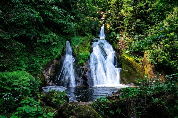 Comment créer un effet de cascade écologique sans gaspillage d'eau ?